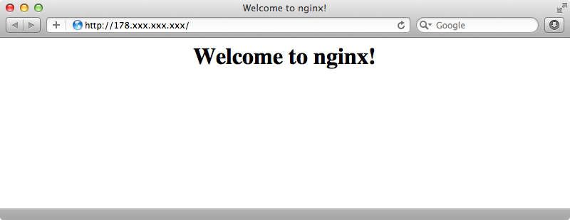 Checking that our nginx server is running.