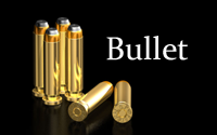 Bullet