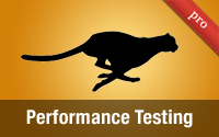 Performance Testing